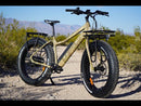 Surface 604 Boar Electric Fat Bike Review | Electric Bike Report