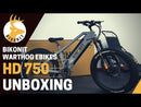 Electric Bike Bikonit HD 750 Instruction Video