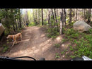 Rubicon & Sedona 48 Volt X-Treme Electric Bicycles - Single Track Trails