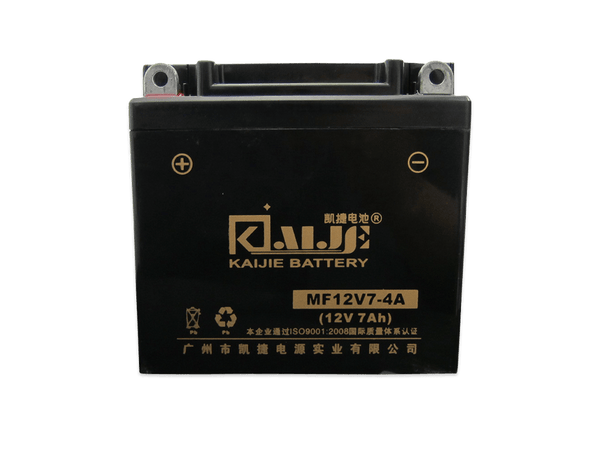 66/80cc Bullet Train Electric Start Engine Battery - Side profile