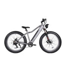 Micargi 800 Watt Steed Electric Mountain silver bicycle side