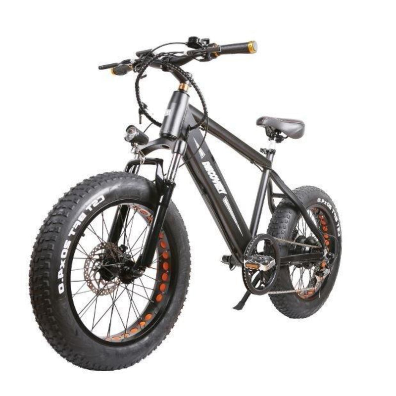 Nakto 300W Discovery 20" Fat Tire front of bicycle